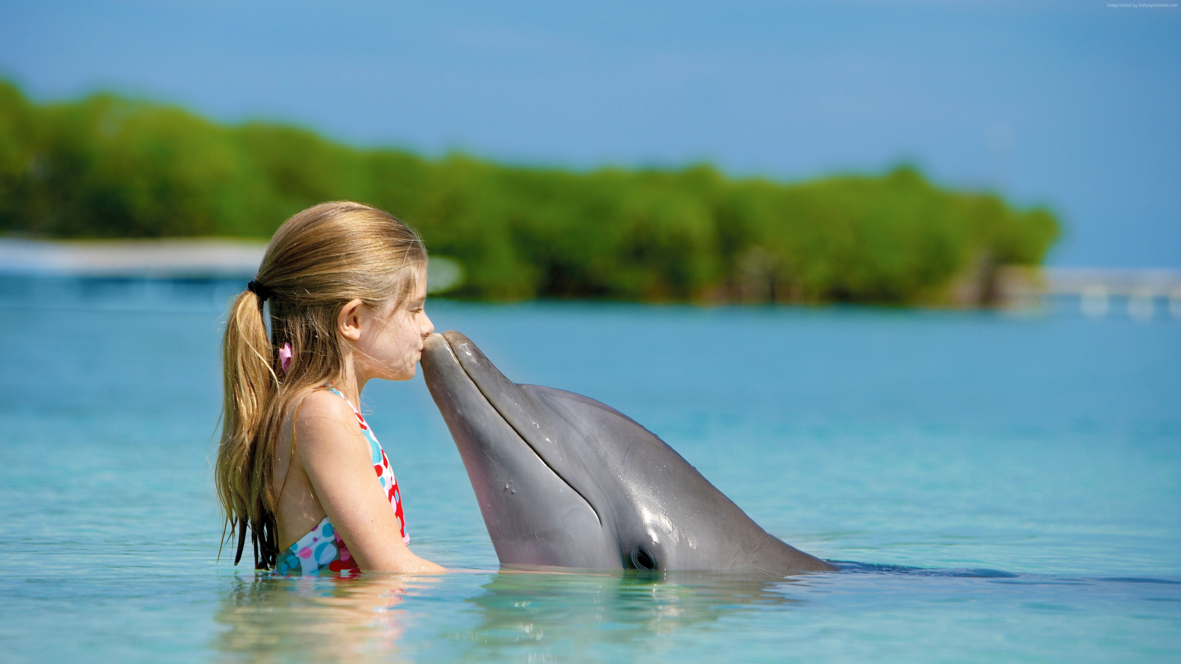 Wallpaper Girl and dolphin, ocean, Maldives, Travel